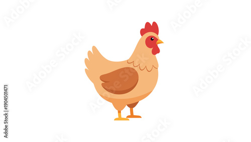 Cartoon illustration of chicken.