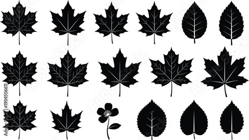 Leaf and flower silhouette vector illustration set featuring maple leaves, ovate leaves, petals, nature, ecology, botany, environment, and design.