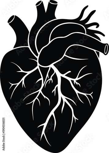 Realistic Anatomical Heart Illustration of Human Circulatory System Organs in Black and White Isolated on Transparent BG