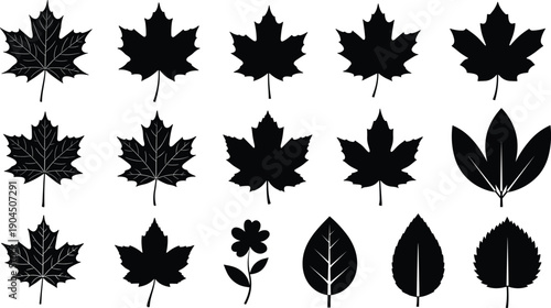 Leaf silhouette vector illustration set featuring maple leaves, ovate leaves, serrated leaves, flower stem, foliage, botany, ecology, nature, and design.