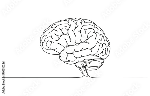 brain continuous one line drawing, Continuous one line drawing of human brain.
