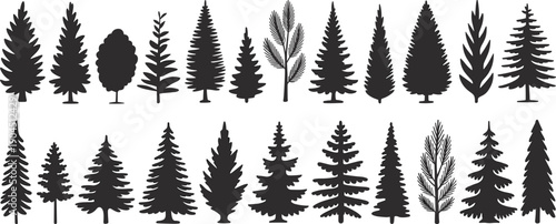 Coniferous and deciduous tree silhouette set, forest evergreen conifer icons, nature pine spruce collection, woodland vegetation vector for landscape design projects,