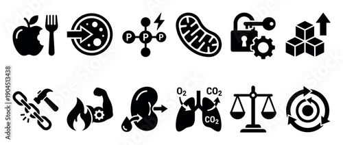 Set of black glyph icons representing metabolism concepts like cellular respiration, ATP energy, anabolism, catabolism, and nutrition in a minimalist flat style