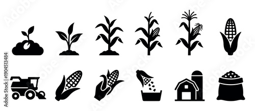 Black corn farming and agriculture icons showing the growth cycle from seed to harvest, including a plant, cob, harvester, barn, and sack of grain in a simple glyph style