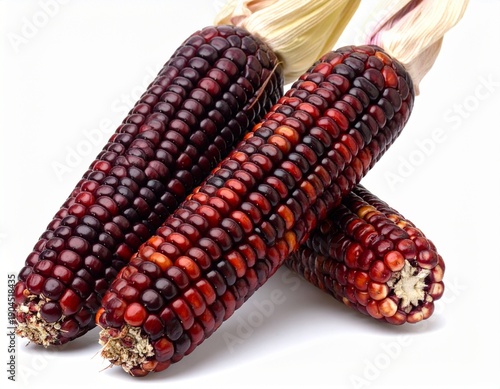 Epis de mais multicolores, isolés sur fond blanc. Generated Image. 