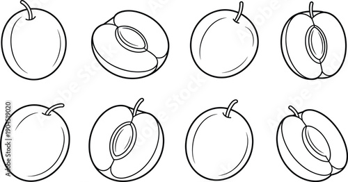 Apricot fruit outline collection with whole and half sliced shapes isolated on white background for healthy food illustration and packaging