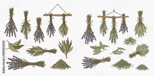 Set of dried herbs and spices for cooking and aromatherapy, including lavender and bay leaves, in a flat cartoon style.