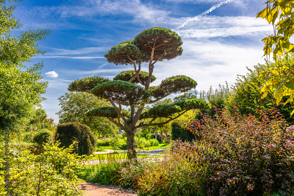 Naklejka premium Die Garten Tulln, Am Wasserpark, 13430 Tulln in Österreich