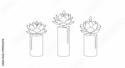Line drawing of three lotus flowers on cylindrical vases against a white background with a minimalist style.