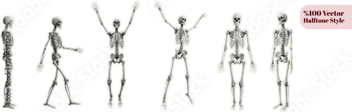 Vector halftone style various human skeleton silhouettes in multiple poses standing walking raising arms facing forward and sideways isolated on white background minimalist black and white digital art