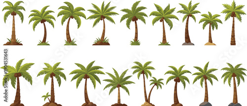 Cartoon Palm Trees Collection with Unique Trunks, Curved and Straight Designs, Coconut Details, Grass, Soil, and Rock Bases
