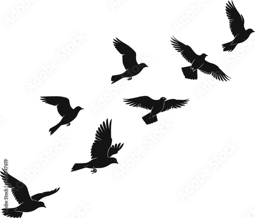Flock of birds flying in the sky silhouette vector illustration of pigeons or seagulls migrating in group for nature and freedom concepts