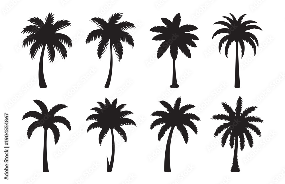 Fototapeta premium Palm tree silhouettes set with different coconut and date palm species for beach and summer travel graphics