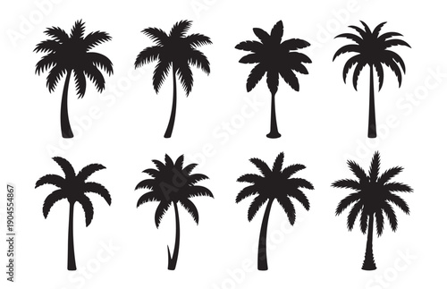 Palm tree silhouettes set with different coconut and date palm species for beach and summer travel graphics