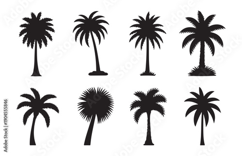Collection of various palm tree shapes including fan palm and classic coconut palms for summer environment