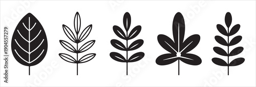 Minimalist black foliage icons representing various plant species for clean organic branding and web graphics