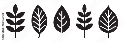 Graphic leaf silhouettes with white vein accents for high contrast botanical layouts and eco friendly messaging