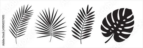 Tropical leaves vector set isolated on white background palm tree leaves and monstera leaf design elements