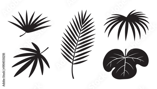 Set of tropical leaf silhouette collection isolated on white background for nature design projects and logos