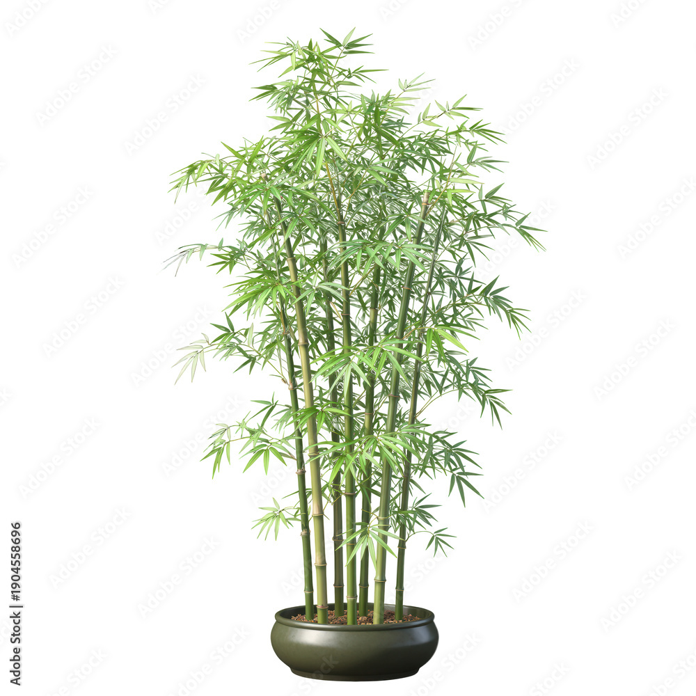 Fototapeta premium Lush Green Bamboo Stalks