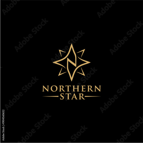 Northern Star Logo Design – Elegant Compass and Navigation Symbol