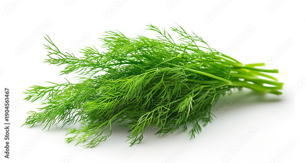 Fototapeta premium fresh green dill isolated on white background