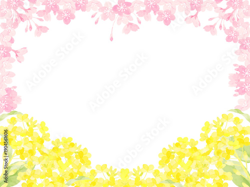 菜の花と桜の春の背景イラスト