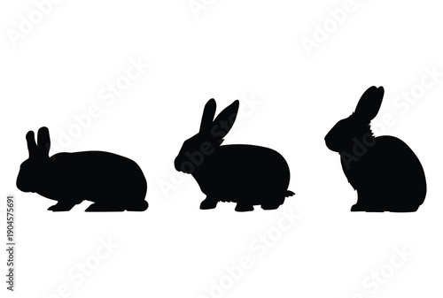 Vector illustration of a cute white bunny and brown rabbit silhouette isolated as adorable fluffy domestic pets for Easter