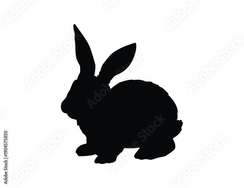 A cute fluffy black rabbit and an adorable white bunny are isolated on a white background, featuring soft fur and long ears as domestic young pets