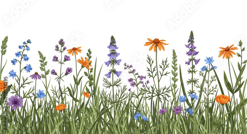Vibrant floral border with orange, purple, and blue wildflowers on green grass against a white background