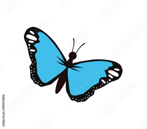 Colorful butterfly isolated on white background with yellow and black wings flying in nature