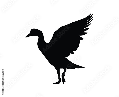 Black silhouette of a duck and bird vector illustration