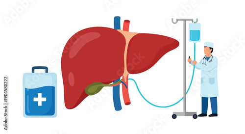 Liver Organ Donation and Treatment. Healthcare Illustration. Flat Vector Design.