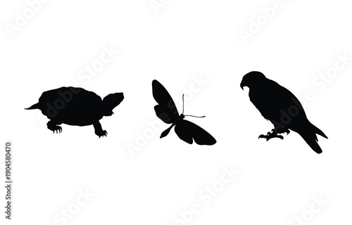 Two cute birds sitting on a branch vector illustration