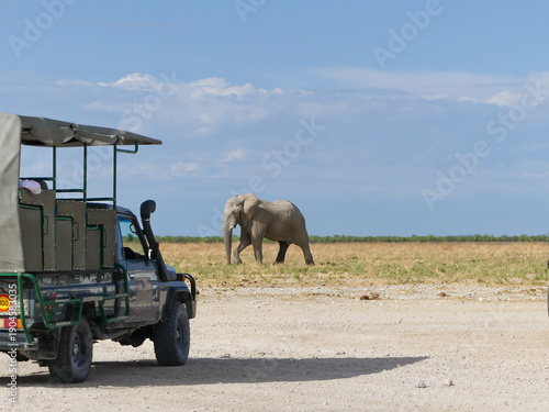 Sticker Safari vehicle observing elephant in African wilderness, Namibia safari