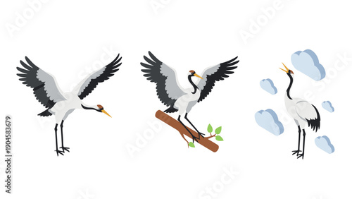 Elegant crane birds in minimalist style with cloud accents