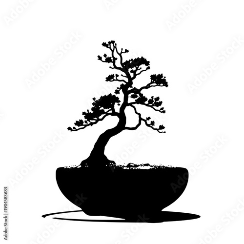 Minimalist Bonsai in Winter Silhouette
