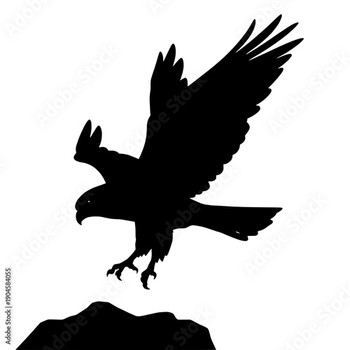 Peregrine Falcon Hunting Silhouette