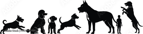Dog silhouettes showing different breeds and sizes with human scale reference, canine diversity, training and comparison concept isolated on white background