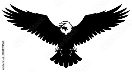 Black Silhouette of Eagle in Flight.