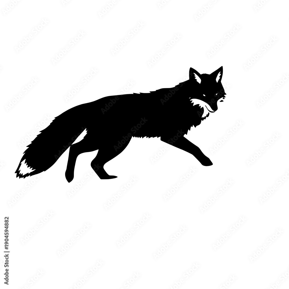 Naklejka premium Arctic Fox Walking Silhouette