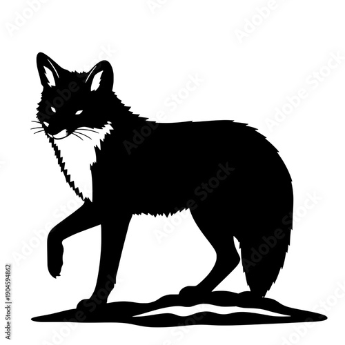 Arctic Fox Standing Silhouette