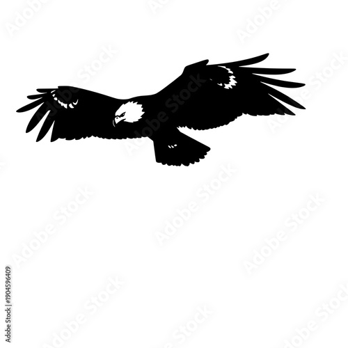 Eagle Gliding Silhouette with Large Wingspan
