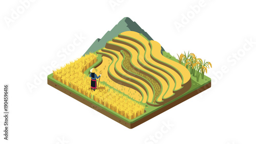 Isometric rice terrace with farmer and mountains in harvest season