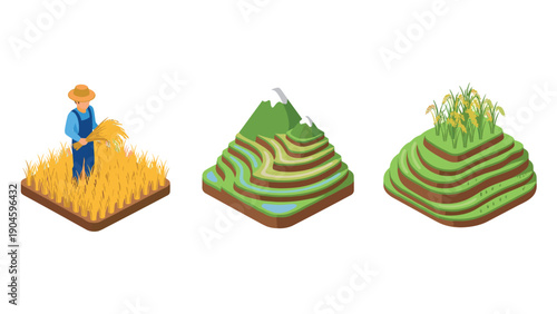 Isometric farming concept: terraced fields and farmer harvesting crops