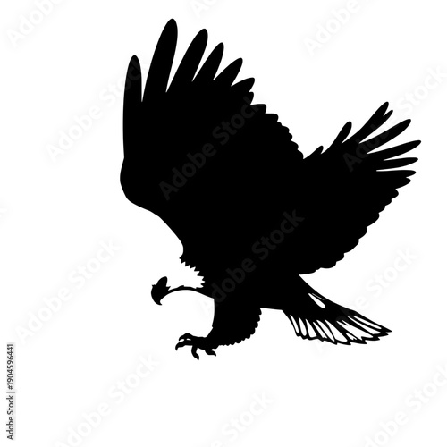 Eagle Soaring Silhouette with Wings Spread Wide