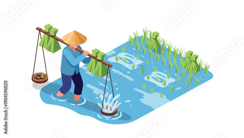 Isometric farmer harvesting rice in paddy fields with traditional hat
