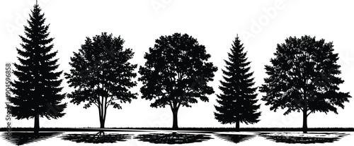 Tree silhouettes collection with pine and deciduous trees, natural forest landscape, countryside scenery isolated on white background