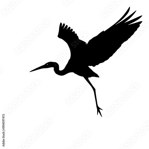 Great Blue Heron Taking Off Silhouette