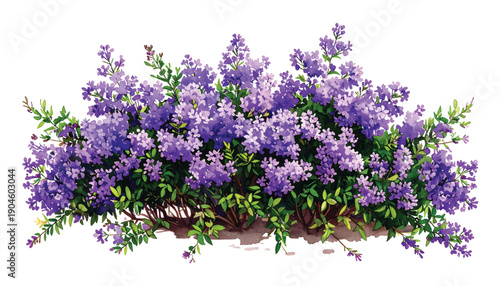 Delicate watercolor of a lush blooming lilac bush with vibrant illutrastion transparent background